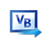 Visual Basic