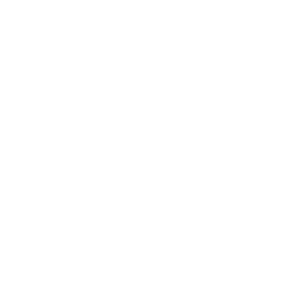 Logo Maverick Studio