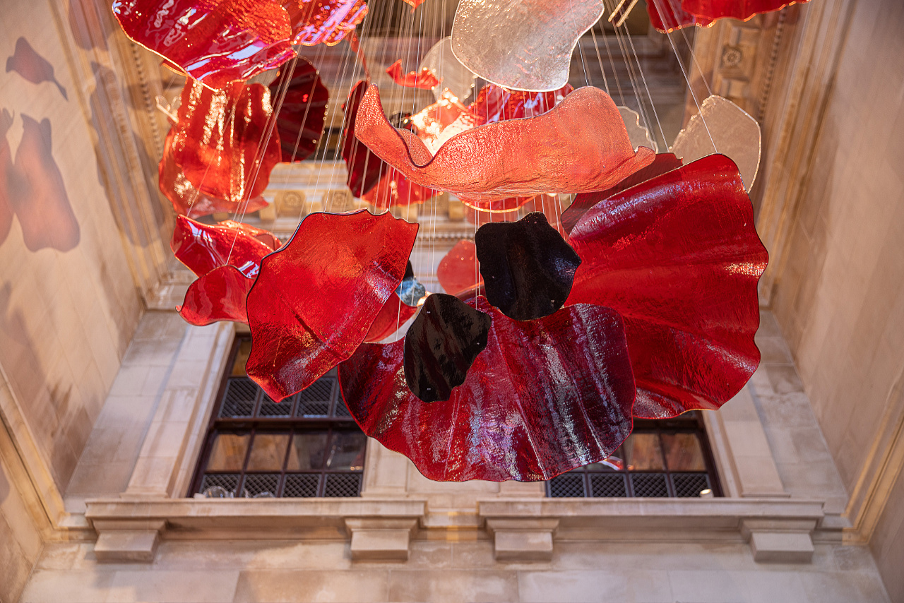 Poppies London, autor Lasvit