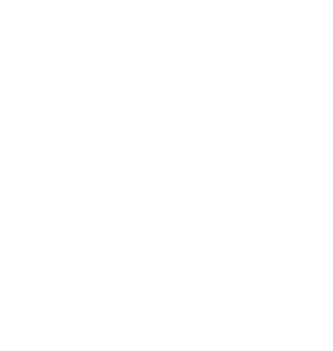 Logo KeyShot