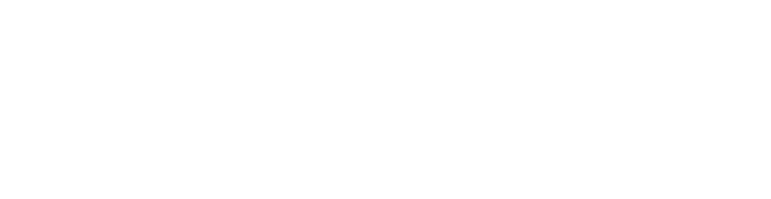 Logo Flying Architecture