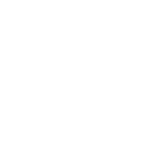 Logo Rhinoceros